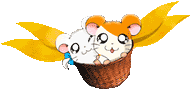 Hamtaro